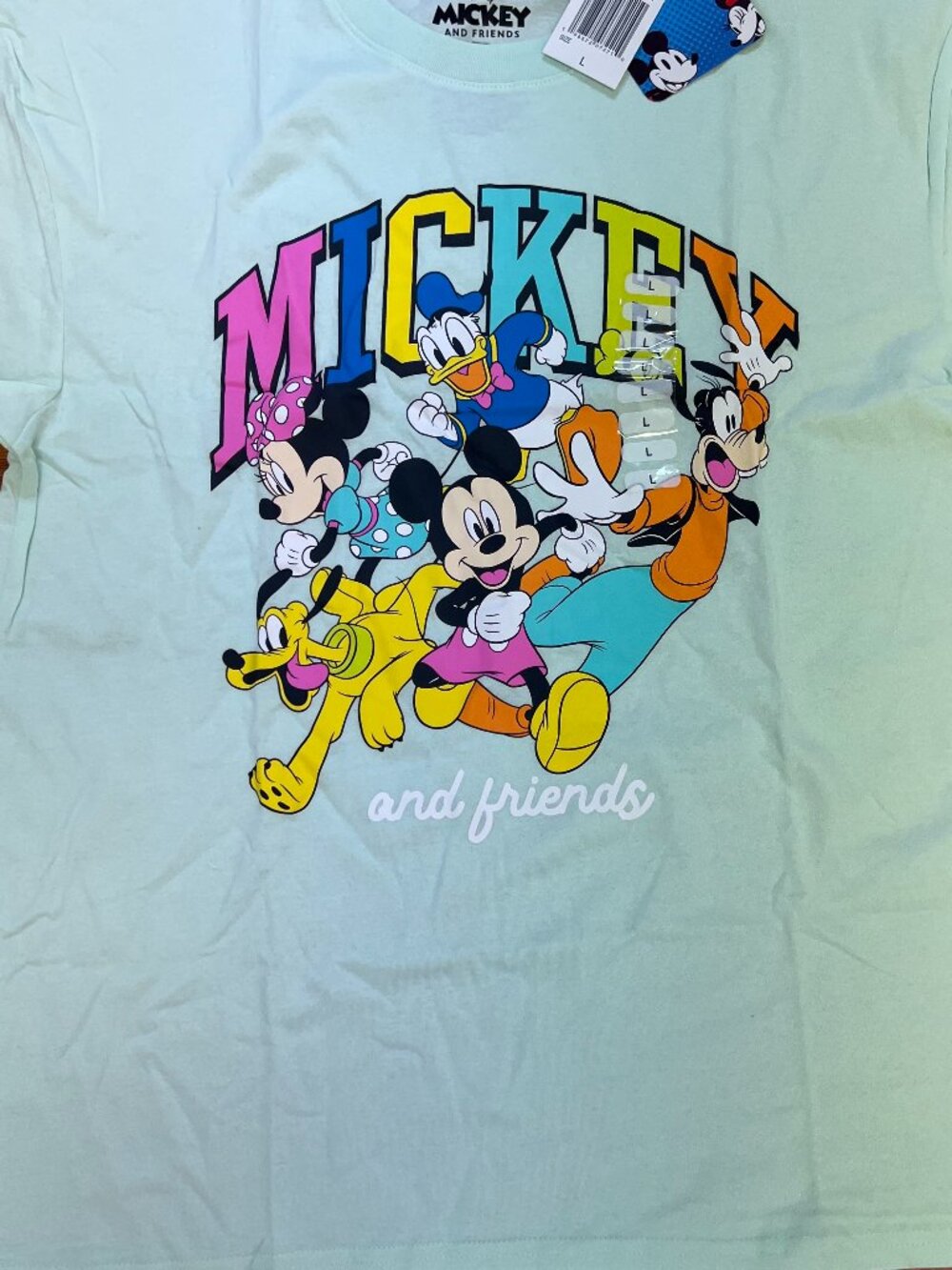 Disney Unisex Mickey & Friends Short Sleeve Graphic Tee Size Large Mint Green